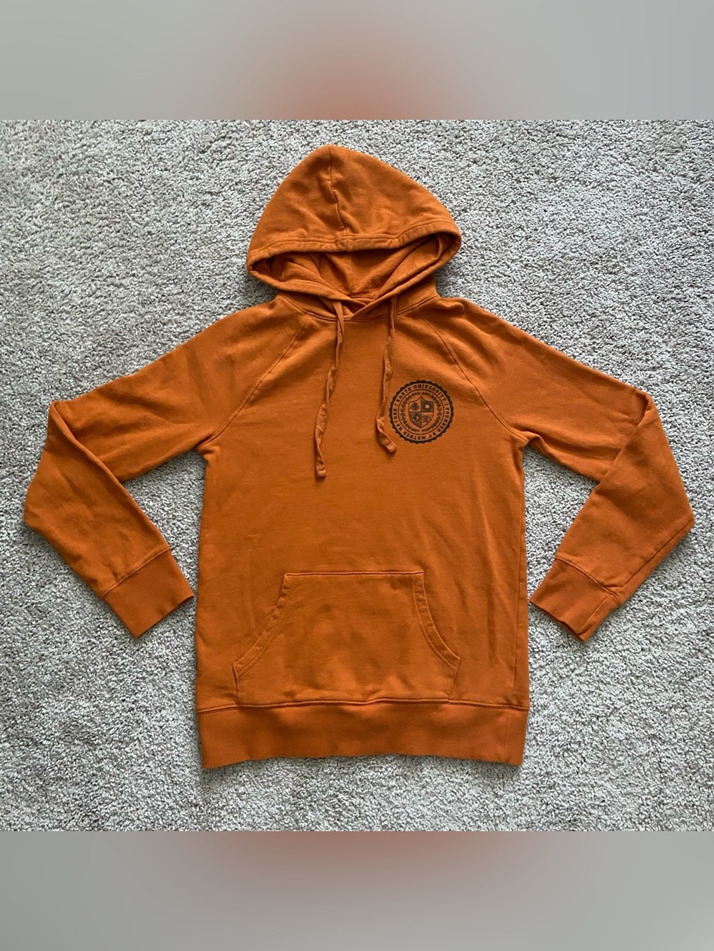 Goodfellow & Co Orange Earth University  Hooded Pullover Sweatshirt Size S